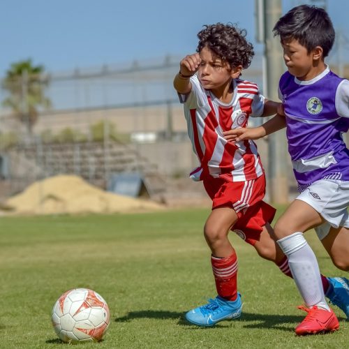 How Totalsportek Tracks Possession Stats for Every Soccer Match?