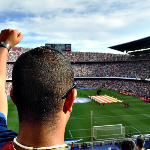 How Totalsportek Brings Soccer Fans Closer to the Action