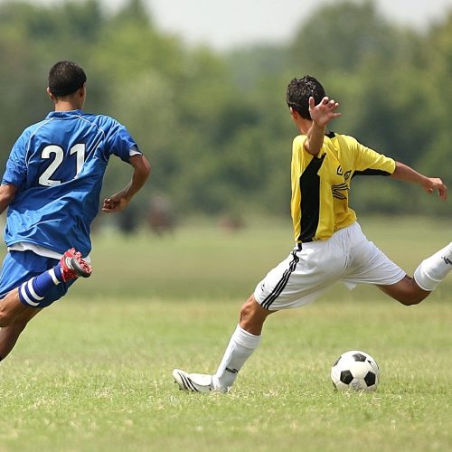 A Beginner’s Guide to Navigating Totalsportek Soccer Stats